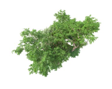 Beyaz arka planda yeşil arazi izole edilmiş. 3d görüntüleme - illüstrasyon