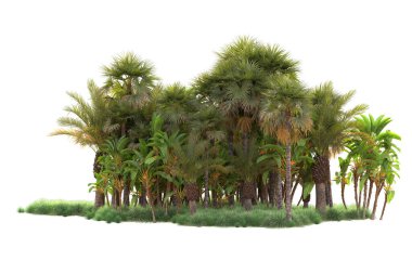 Beyaz arka planda palmiye ağaçları olan tropikal orman manzarası