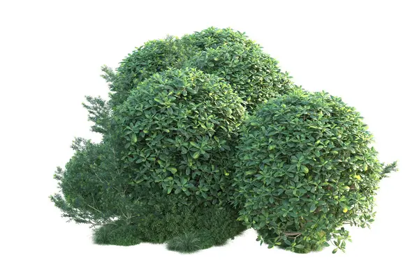 Beyaz arka planda yeşil arazi izole edilmiş. 3d görüntüleme - illüstrasyon