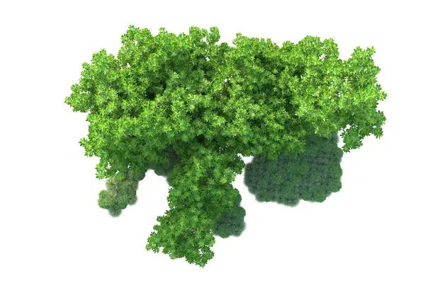 Beyaz arka planda yeşil arazi izole edilmiş. 3d görüntüleme - illüstrasyon