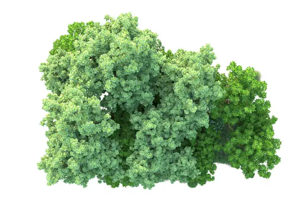 Beyaz arka planda yeşil arazi izole edilmiş. 3d görüntüleme - illüstrasyon