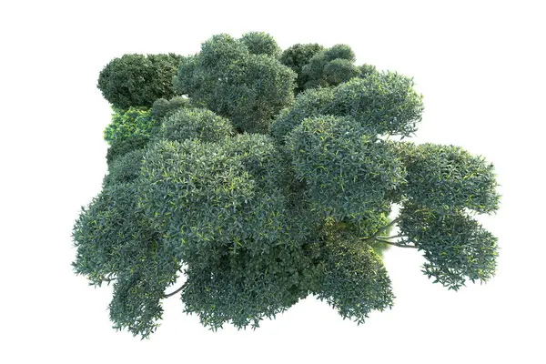 Beyaz arka planda yeşil arazi izole edilmiş. 3d görüntüleme - illüstrasyon