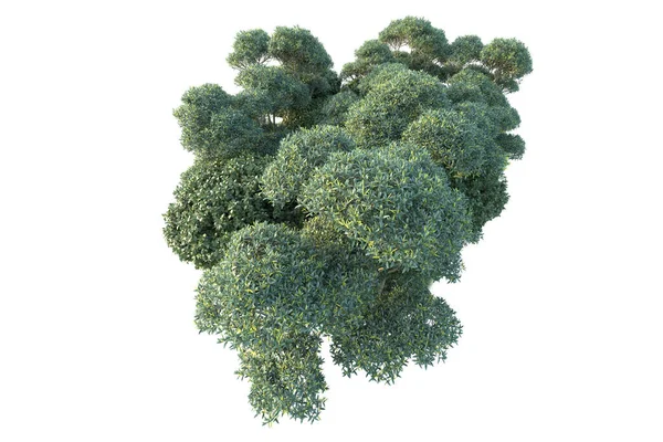 Beyaz arka planda yeşil arazi izole edilmiş. 3d görüntüleme - illüstrasyon