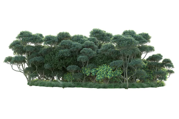 Beyaz arka planda yeşil arazi izole edilmiş. 3d görüntüleme - illüstrasyon