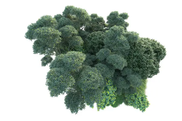 Beyaz arka planda yeşil arazi izole edilmiş. 3d görüntüleme - illüstrasyon