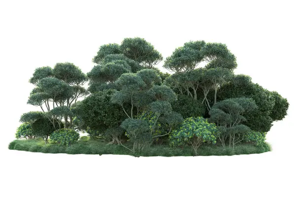 Beyaz arka planda yeşil arazi izole edilmiş. 3d görüntüleme - illüstrasyon