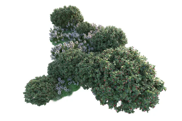 Beyaz arka planda yeşil arazi izole edilmiş. 3d görüntüleme - illüstrasyon