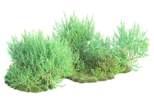 Parktaki ağaçlar ve bitkiler. 3d resimleme