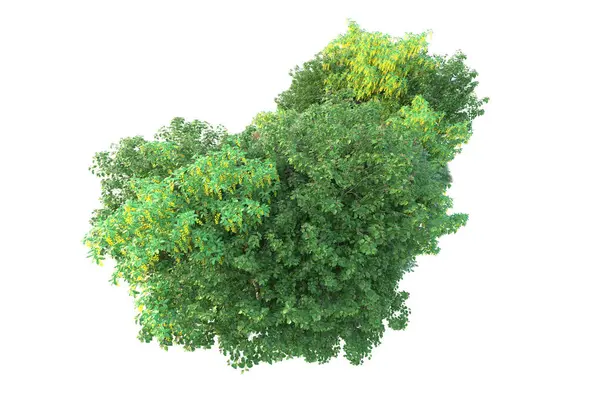 Parktaki ağaçlar ve bitkiler. 3d resimleme