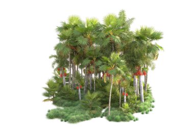 Beyaz arka planda palmiye ağaçları olan tropikal orman manzarası