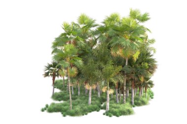 Beyaz arka planda palmiye ağaçları olan tropikal orman manzarası