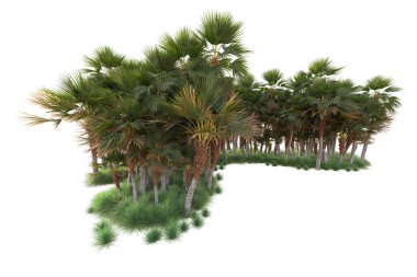 Beyaz arka planda palmiye ağaçları olan tropikal orman manzarası