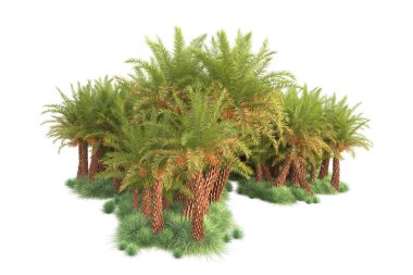 Beyaz arka planda palmiye ağaçları olan tropikal orman manzarası