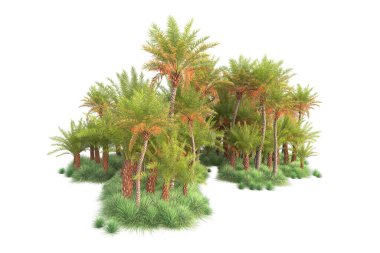 Beyaz arka planda palmiye ağaçları olan tropikal orman manzarası