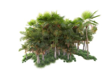 Tropik yeşil ağaçların yaprakları. 3d resimleme