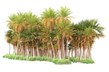 Egzotik tropik yeşil ağaçlar. 3d resimleme