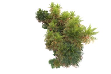 Egzotik tropik yeşil ağaçlar. 3d resimleme