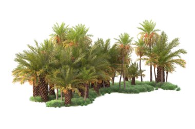 Egzotik tropik yeşil ağaçlar. 3d resimleme