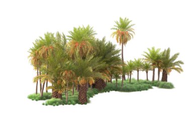 Egzotik tropik yeşil ağaçlar. 3d resimleme