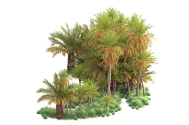  Tropik ağaçlar. 3d resimleme