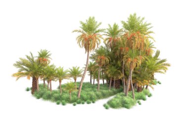  Tropik ağaçlar. 3d resimleme