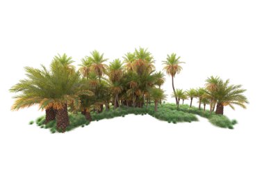  Tropik ağaçlar. 3d resimleme