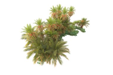  Tropik ağaçlar. 3d resimleme
