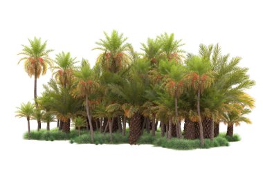  Tropik ağaçlar. 3d resimleme