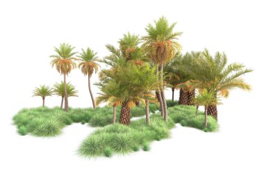 Egzotik tropikal ağaçların 3D çizimi