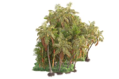 Beyaz arka planda yeşil arazi izole edilmiş. 3d görüntüleme - illüstrasyon