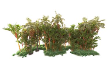 Beyaz arka planda yeşil arazi izole edilmiş. 3d görüntüleme - illüstrasyon