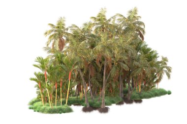 Beyaz arka planda yeşil arazi izole edilmiş. 3d görüntüleme - illüstrasyon