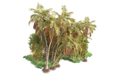 Beyaz arka planda yeşil arazi izole edilmiş. 3d görüntüleme - illüstrasyon