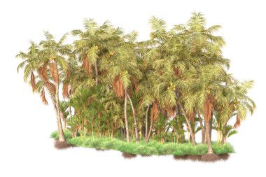 Beyaz arka planda yeşil arazi izole edilmiş. 3d görüntüleme - illüstrasyon