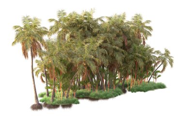 Beyaz arka planda yeşil arazi izole edilmiş. 3d görüntüleme - illüstrasyon