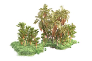 Beyaz arka planda yeşil arazi izole edilmiş. 3d görüntüleme - illüstrasyon