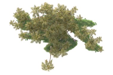 Beyaz arka planda yeşil arazi izole edilmiş. 3d görüntüleme - illüstrasyon