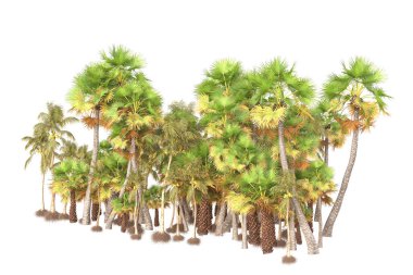 Beyaz arka planda yeşil arazi izole edilmiş. 3d görüntüleme - illüstrasyon