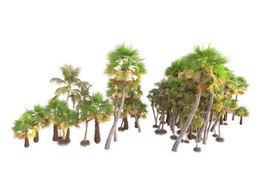 Beyaz arka planda yeşil arazi izole edilmiş. 3d görüntüleme - illüstrasyon