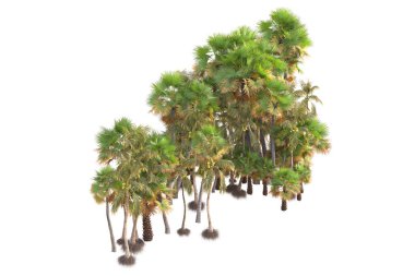 Beyaz arka planda palmiye ağaçları olan tropikal orman manzarası