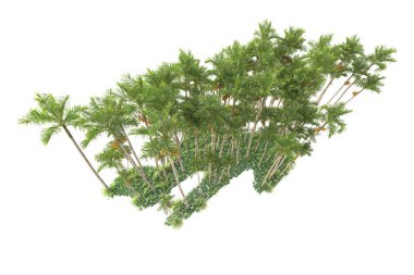 Beyaz arka planda palmiye ağaçları olan tropikal orman manzarası