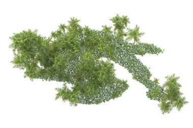 Beyaz arka planda palmiye ağaçları olan tropikal orman manzarası