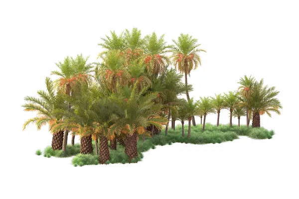  Tropik ağaçlar. 3d resimleme