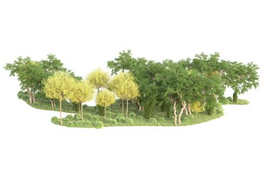 Beyaz arka planda ağaçların olduğu ormanın manzarası