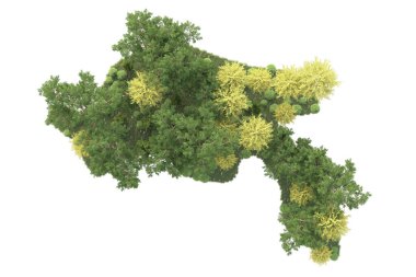 Beyaz arka planda ağaçların olduğu ormanın manzarası