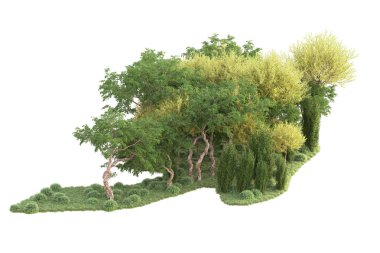 Beyaz arka planda ağaçların olduğu ormanın manzarası