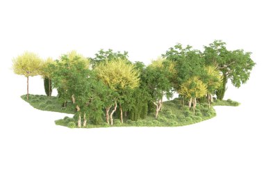 Beyaz arka planda ağaçların olduğu ormanın manzarası