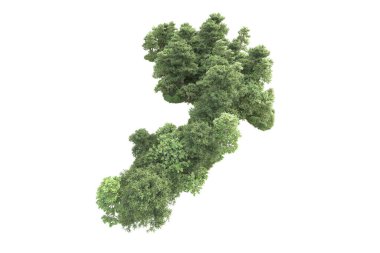 Beyaz arka planda ağaçların olduğu ormanın manzarası