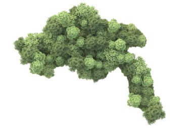 Beyaz arka planda ağaçların olduğu ormanın manzarası