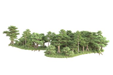 Beyaz arka planda ağaçların olduğu ormanın manzarası